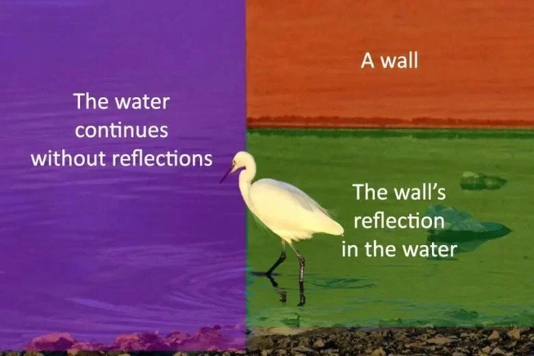 의외로 합성이 아닌 사진.jyp_2.webp