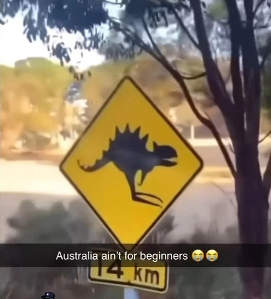 호주에서 조심해야하는 것_1.webp