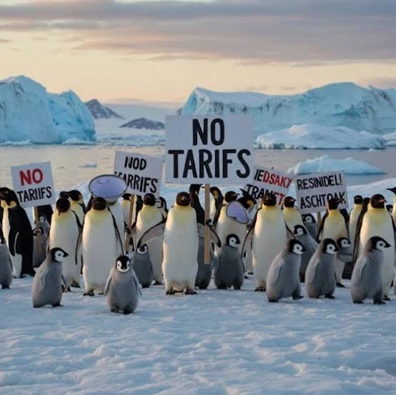 대법원 관세 무효로 큰 피해를 본 곳.jpg_2.webp