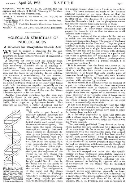 박사급 논문인데 99% 레퍼로만 채워놓은 걸로 유명한 논문_2.webp