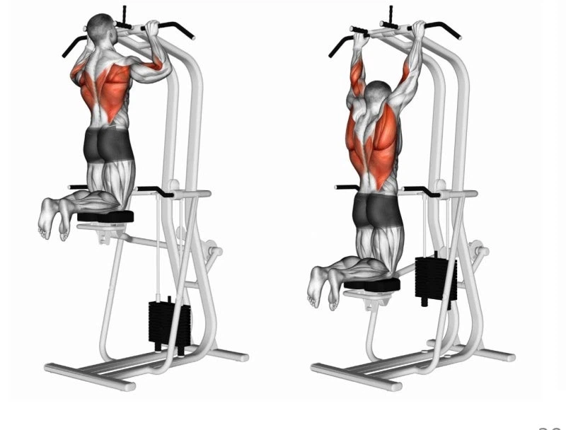 헬스 초보 : ㅋㅋ 무게 ㅈ도 못치네 ㅋㅋㅋ_1.webp