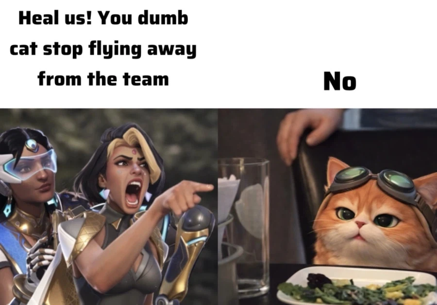 오버워치 고양이 밈_1.webp