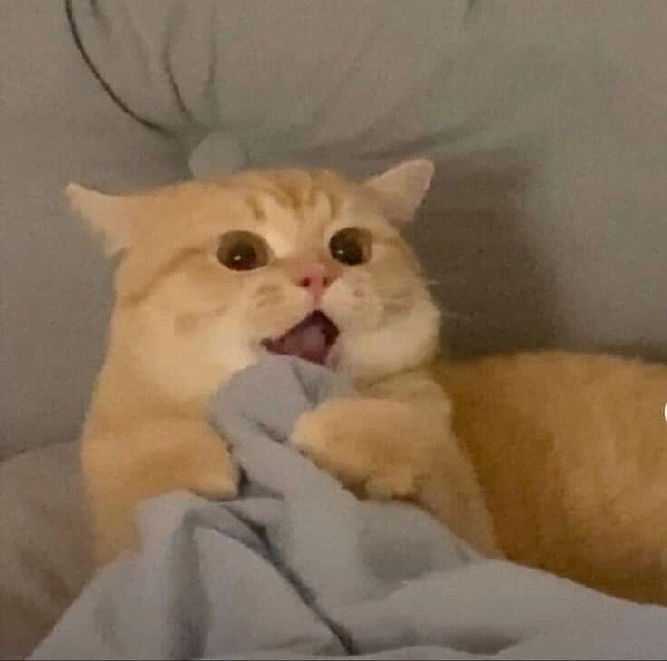 사실 원작이 따로 있는 영화.movie_6.webp