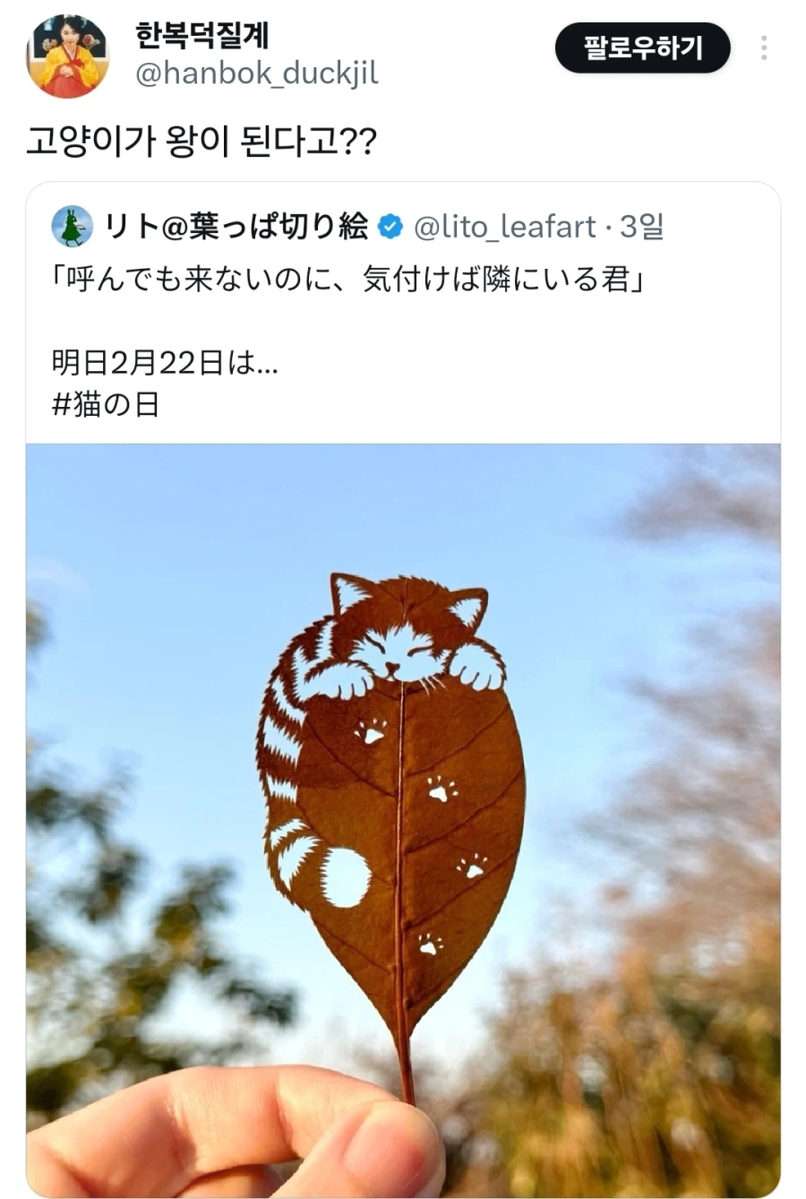 나뭇잎에 새겨진 고양이.jpg_1.webp