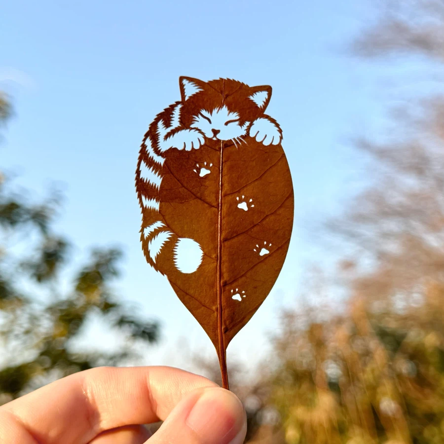 고양이가 왕이 된다고_1.webp