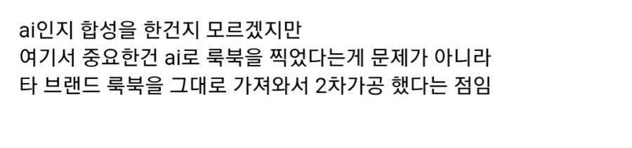 ai로 표절 룩북찍은 국내 브랜드_5.webp