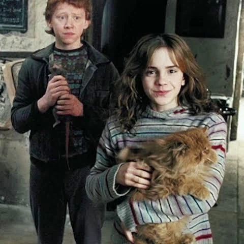 해리포터)스토리가 빠르게 완결날수도 있었던 순간_1.webp