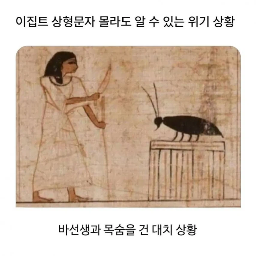 고대 바퀴벌레 크기_2.webp