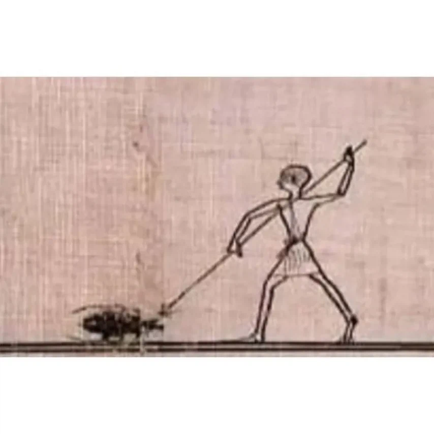 고대 바퀴벌레 크기_3.webp