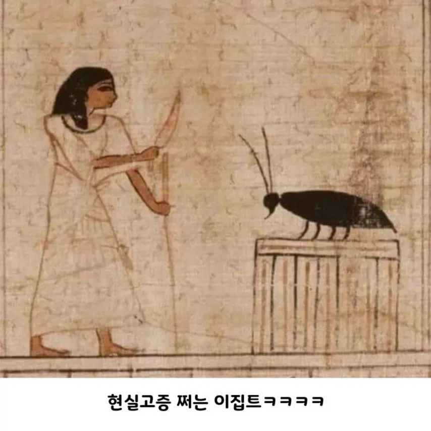 고대 바퀴벌레 크기_5.webp