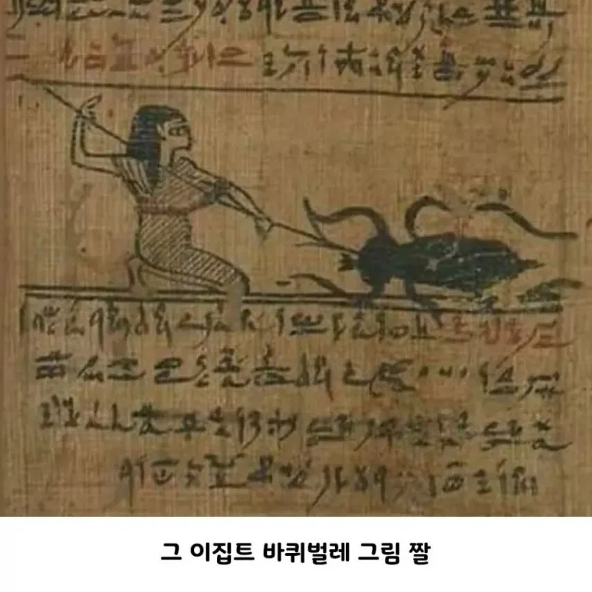 고대 바퀴벌레 크기_6.webp