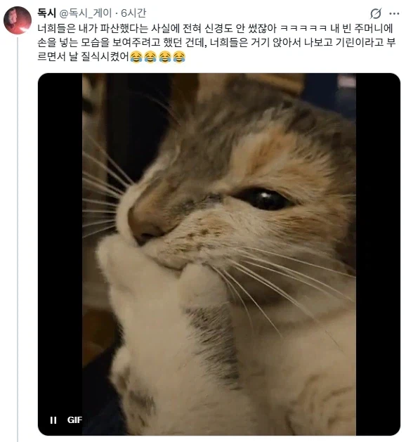 심각한 재정난을 호소하는 어느 게이_2.webp