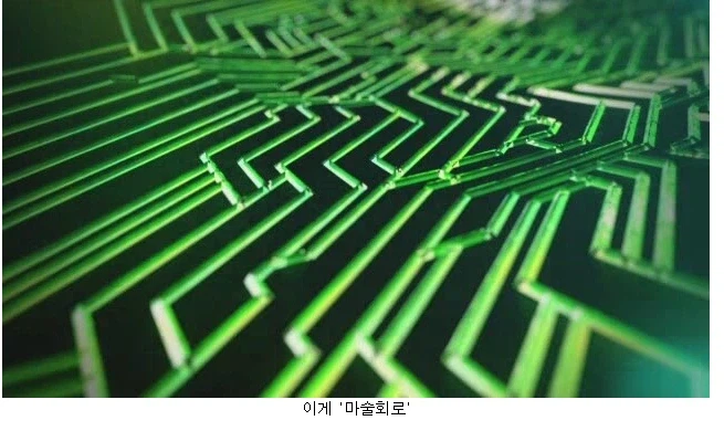 페이트)마술회로와 마술각인의 차이_1.webp