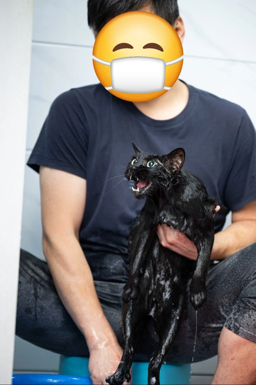 인기많고 못생긴 검은 고양이_5.webp