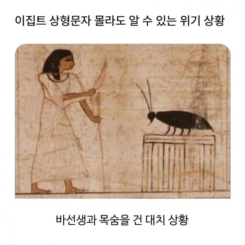 고대 바퀴벌레 크기 수준_2.webp