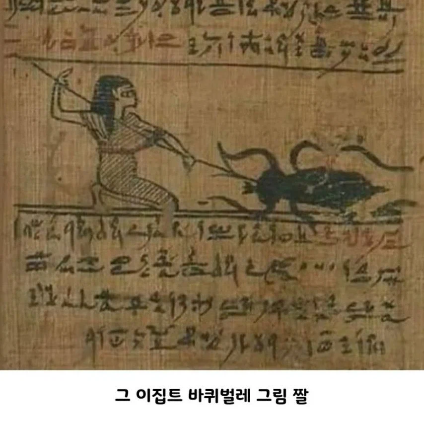 고대 바퀴벌레 크기 수준_6.webp