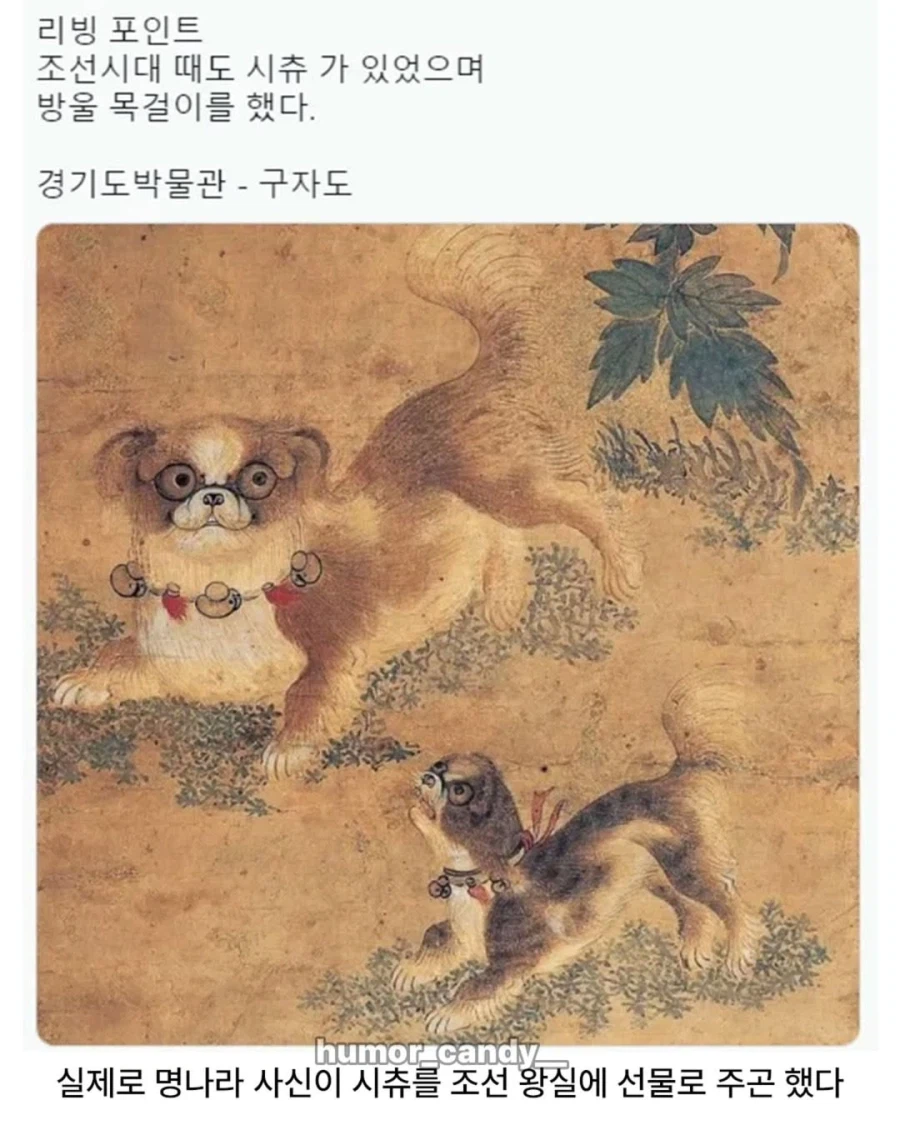 의외로 조선시대 있었던 것_4.webp