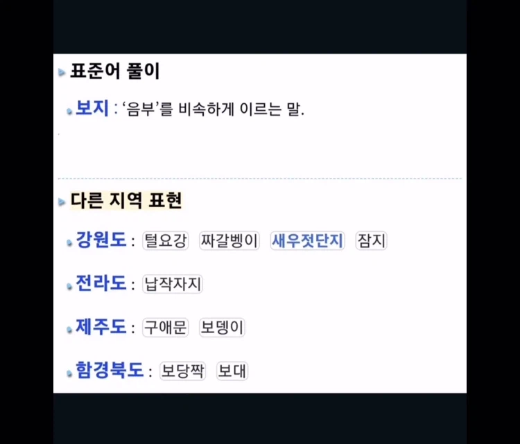 지역별 보지_1.webp