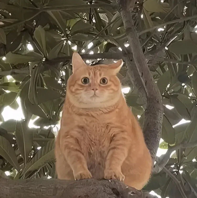 재밌는 영화를 찾았어!_5.webp