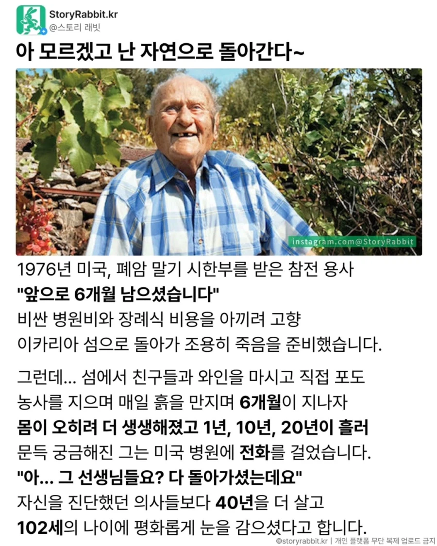 6개월 남았다는 의사? 그놈들 다 죽었어.jpg_1.webp