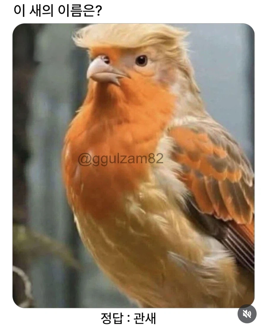 이 새의 이름은?_1.webp