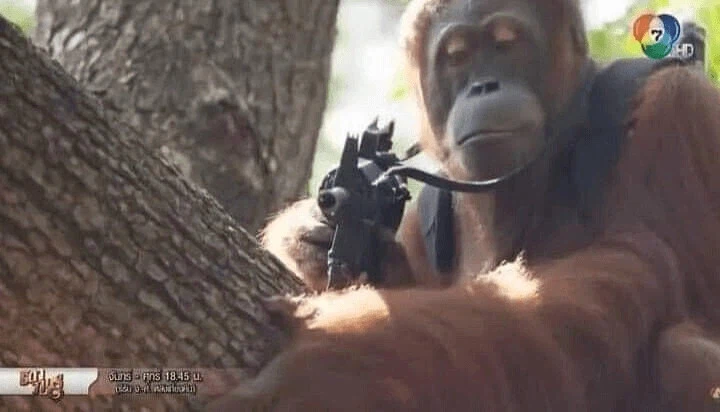 솔직히 다들 헬스장 샤워실 혼자 있을땐 소변 보지않음?? ㅋㅋ 아닌척_2.webp