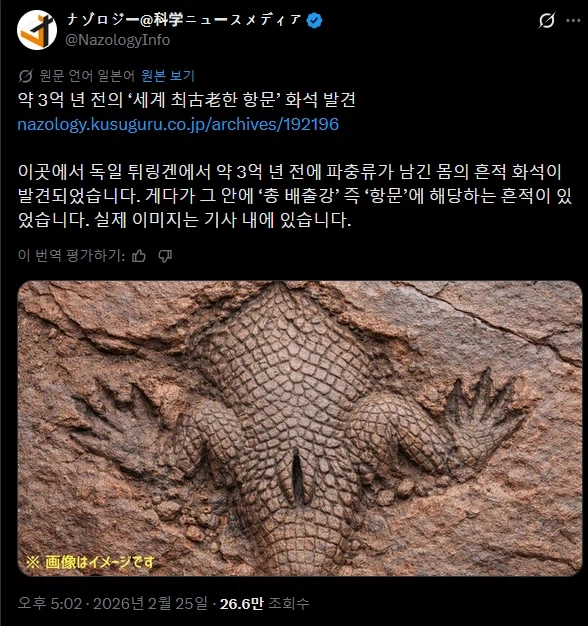 독일에서 약 3억년 전에 살았던 파충류의 화석이 나왔다고 함;;_1.webp