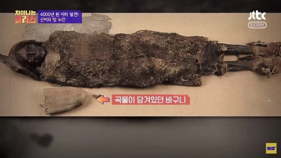 네임드 실크로드 유적이 봉인당한 이유_3.webp