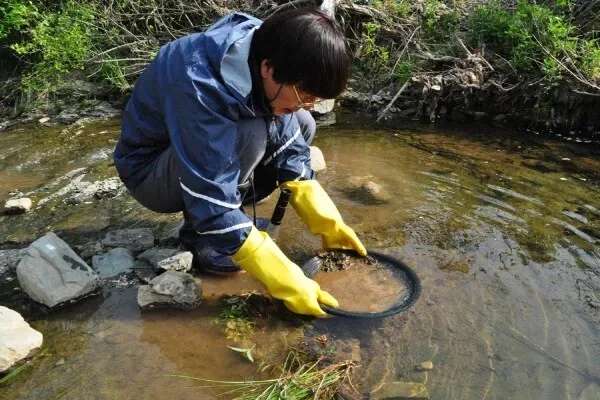 의외로 일반인도 금을 얻을 수 있는 방법_1.webp