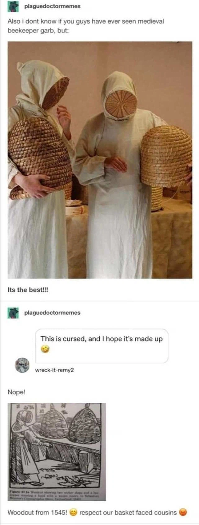 중세시대 양봉업자들의 보호복.GIF_3.webp