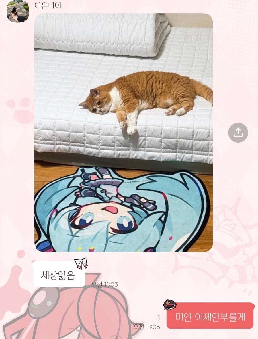 자동급식기로 고양이한테 말걸수 있길래 해봤더니.jpg_3.webp