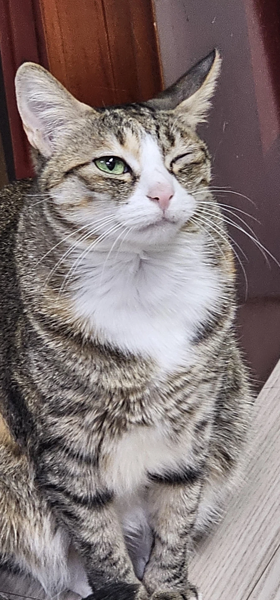 우리집 막내동생 사진 보실?_1.webp