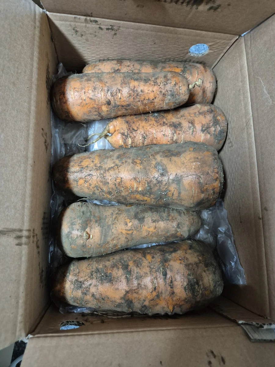 당근 5kg를 주문한 결과 엄청난게 왔다_1.webp