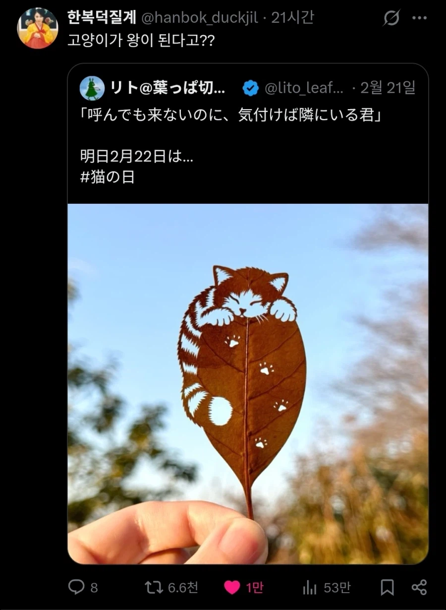 나뭇잎에 새겨둔 고양이 그림.jpg_2.webp