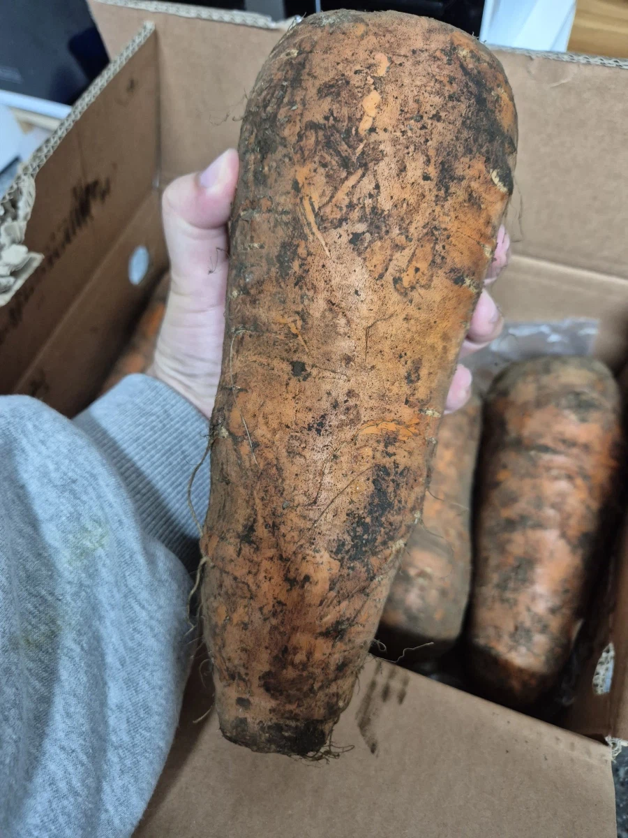 당근 5kg을 주문했는데..._3.webp