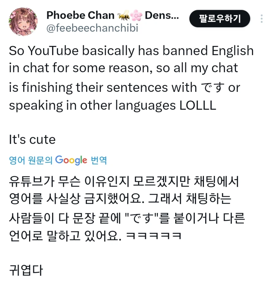 유튜브 영어 금지령.jpg_1.webp