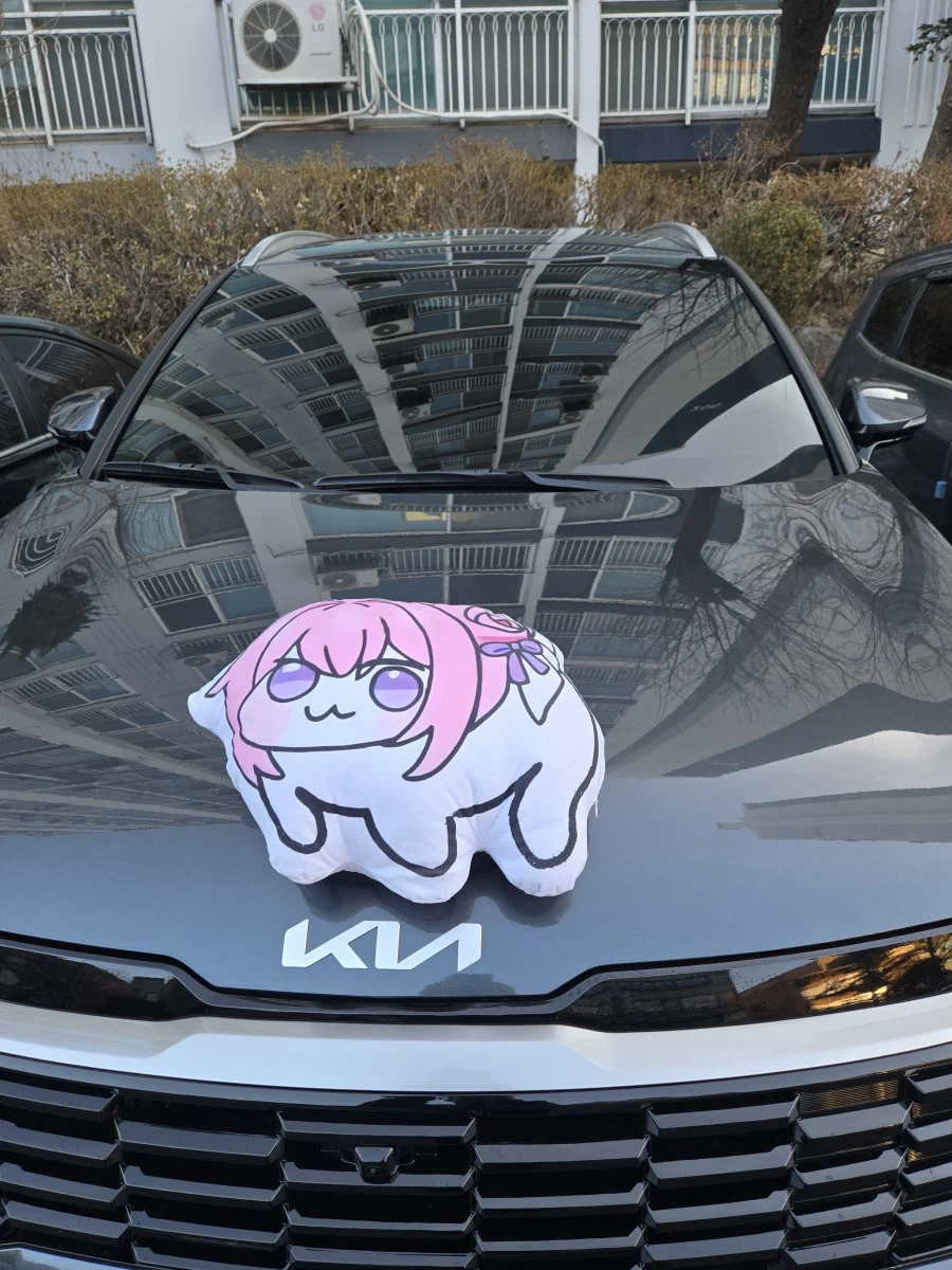 귤따개가 새차를 샀다 doro_1.webp