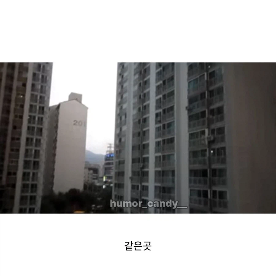 한번도 가본적 없지만 다들 아는 아파트_3.webp