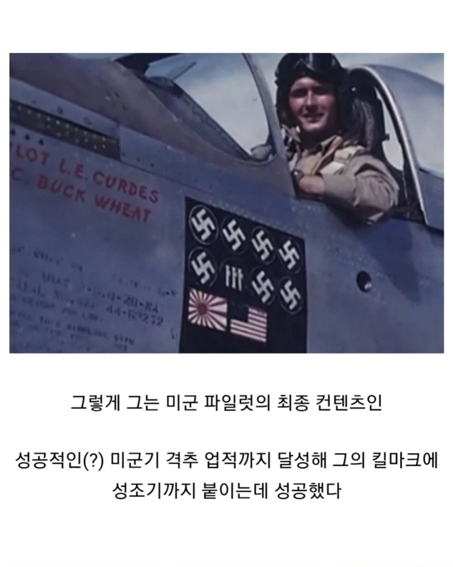 2차 대전 중 업적작 완성한 파일럿_5.webp