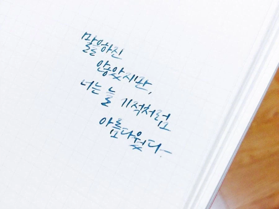 이상할 정도로 국내에서 인싸에게도 인기가 많은 소설 문구_1.webp