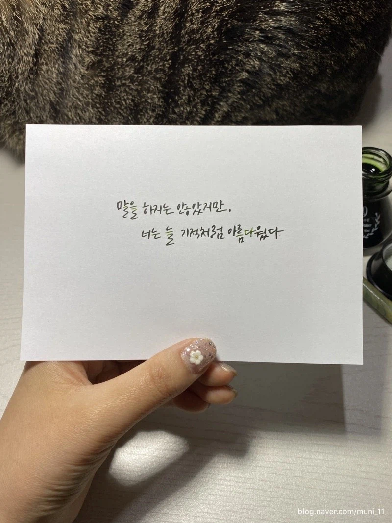 이상할 정도로 국내에서 인싸에게도 인기가 많은 소설 문구_3.webp