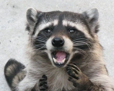 LG OLED TV 진가_3.webp