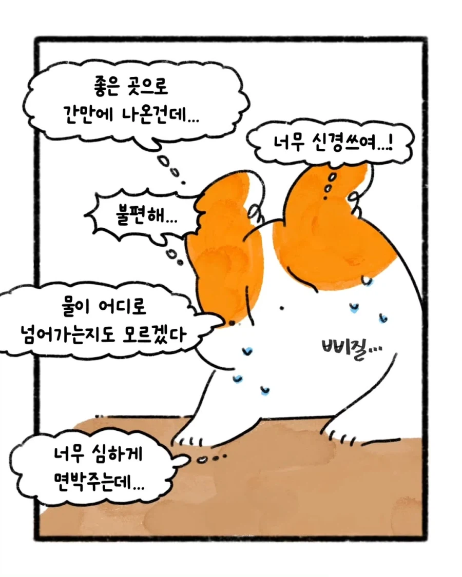 손님 앞에서 서빙하는 직원에게 대놓고 면박을 줌_4.webp
