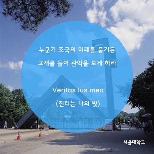 서울대 에타에 반짝이는 관악의 기운_2.webp