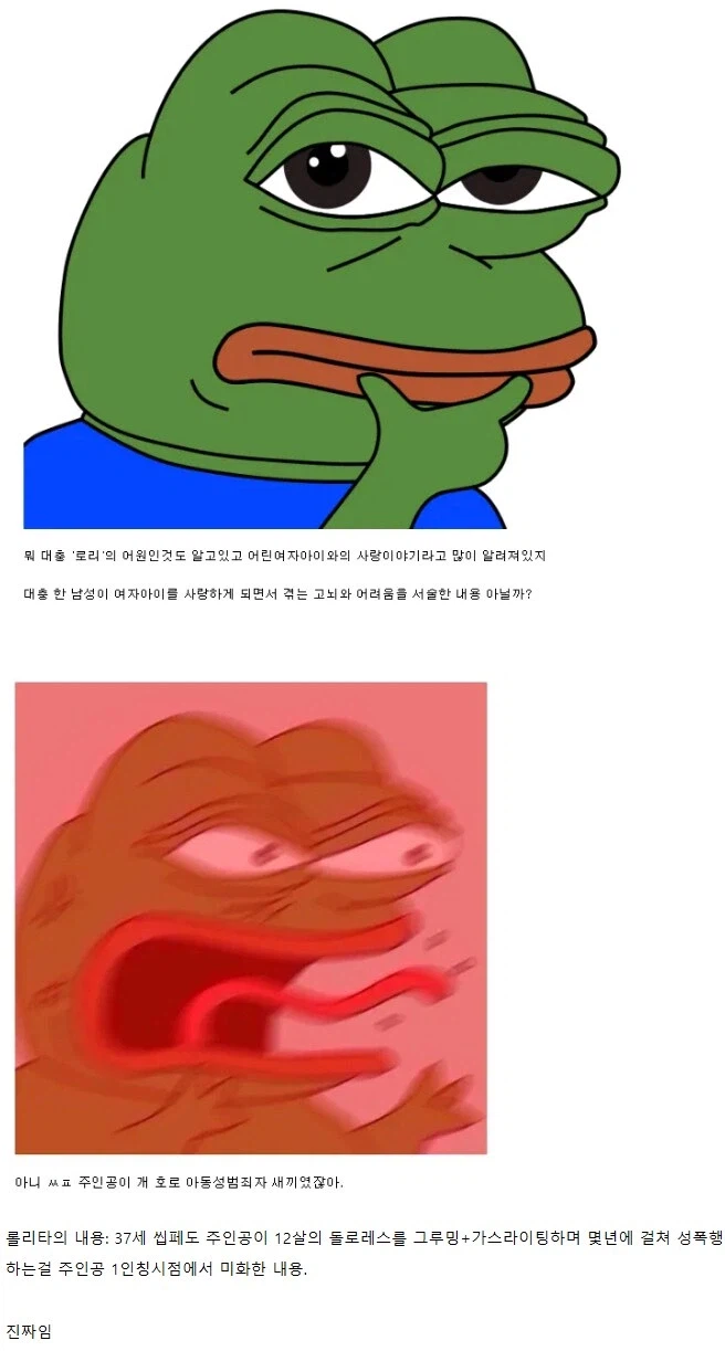 소설 롤리타를 보기 전 상상과 실제 보고난 후 반응_1.webp
