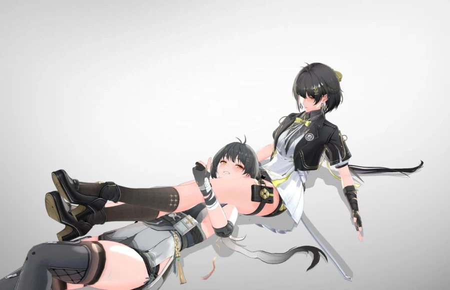 [명조] 방랑자한테 공격 당하는 방랑자.jpg_1.webp