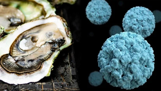 의외로 만연해 있는 미신_2.webp