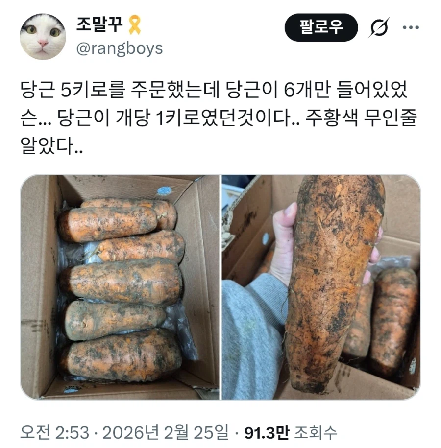 당근 5kg 시켰는데 딸랑 6개만 왔음.jpg_1.webp