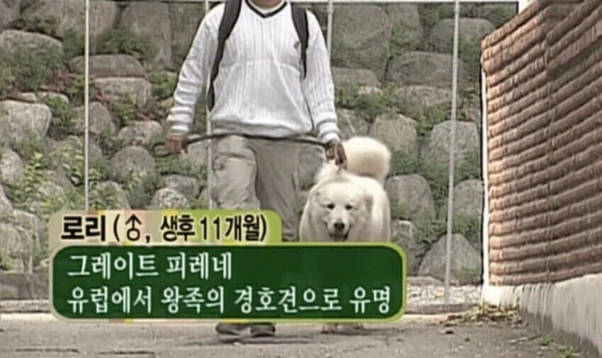 로리를 목줄 채워서 알몸 산책시키는 사진_1.webp