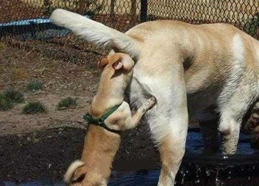 이것이 당신의 직장입니다._1.webp